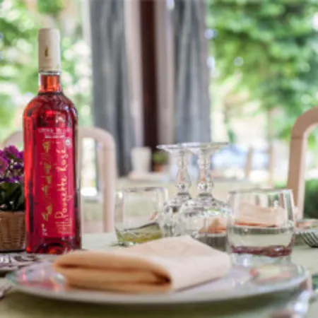 Hotel De L'île Creysse (Lot)