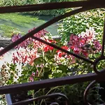 Logis - De L'ile - 3 Etoiles Et Restaurant 3*