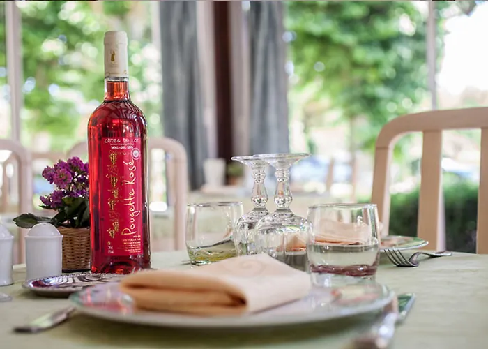 Hotel Logis - De L'ile - 3 Etoiles Et Restaurant Creysse (Lot)